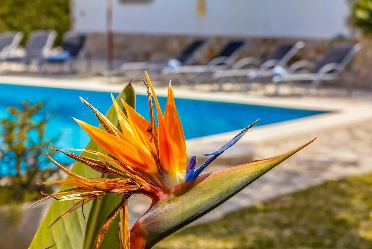 Villa Fonoll Mari Port de Pollença